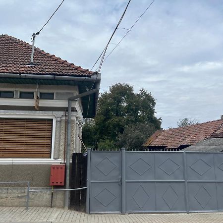 Casa Lucian Διαμέρισμα Cîrţişoara Εξωτερικό φωτογραφία