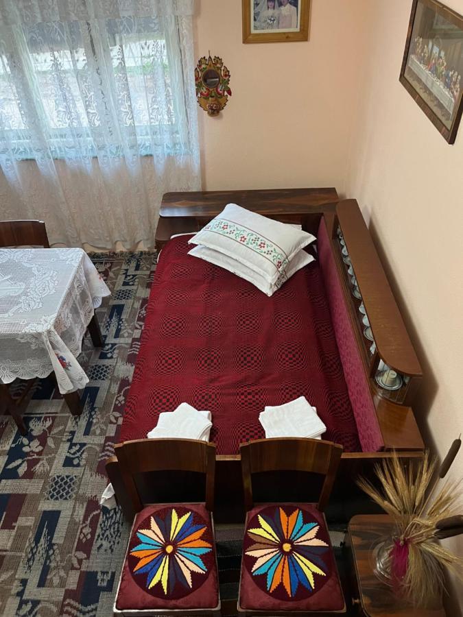 Casa Lucian Διαμέρισμα Cîrţişoara Εξωτερικό φωτογραφία