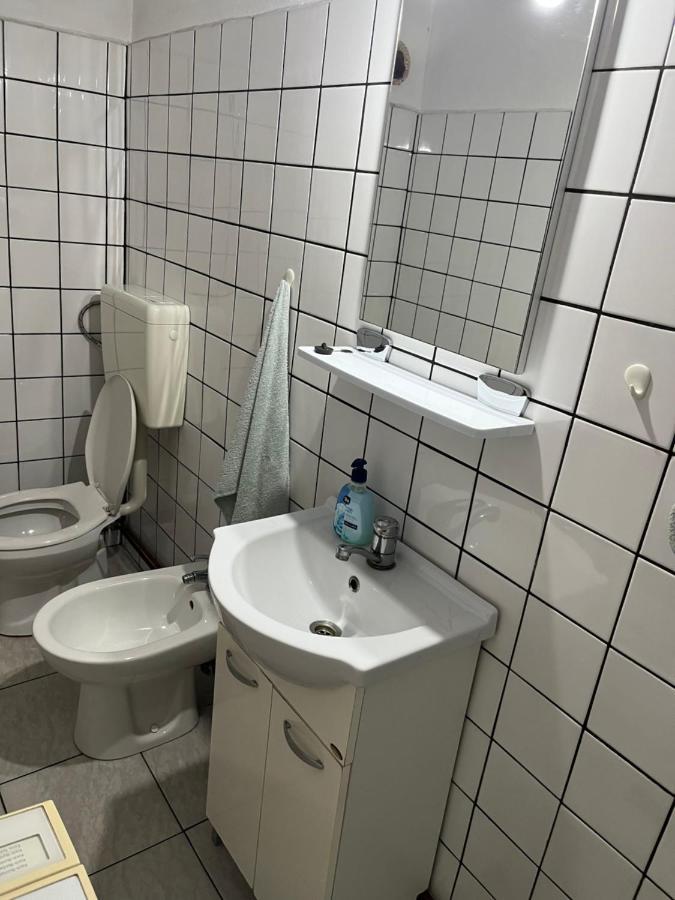 Casa Lucian Διαμέρισμα Cîrţişoara Εξωτερικό φωτογραφία