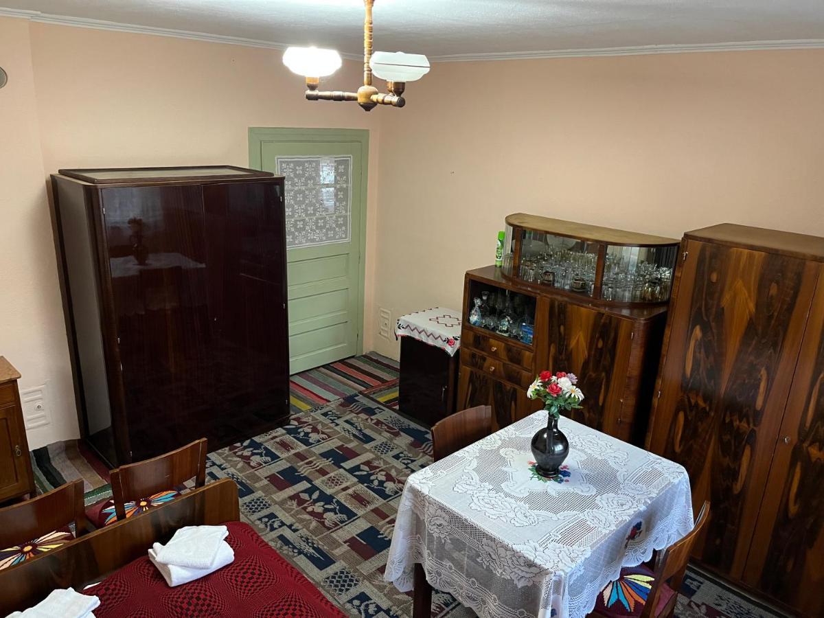 Casa Lucian Διαμέρισμα Cîrţişoara Εξωτερικό φωτογραφία