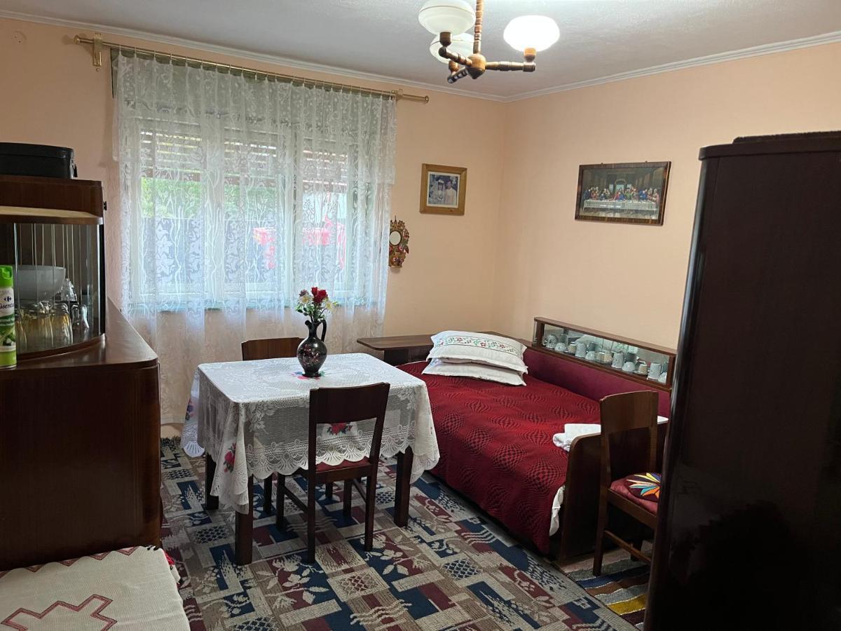Casa Lucian Διαμέρισμα Cîrţişoara Εξωτερικό φωτογραφία