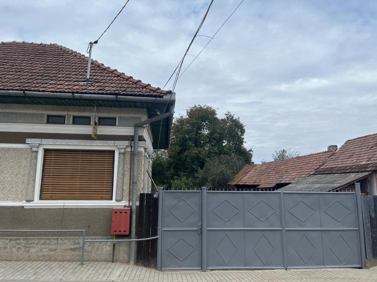 Casa Lucian Διαμέρισμα Cîrţişoara Εξωτερικό φωτογραφία