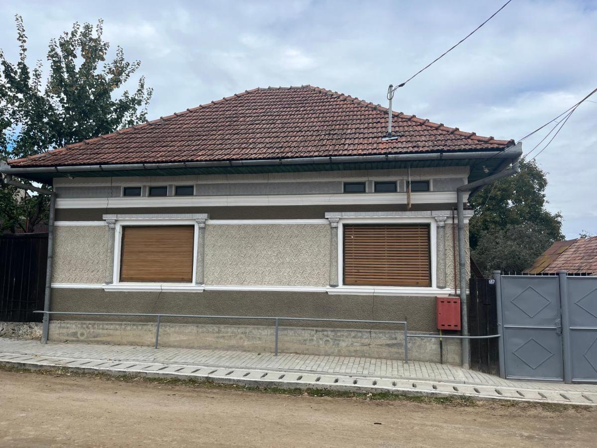 Casa Lucian Διαμέρισμα Cîrţişoara Εξωτερικό φωτογραφία