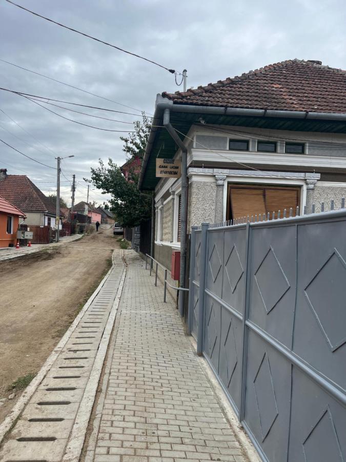 Casa Lucian Διαμέρισμα Cîrţişoara Εξωτερικό φωτογραφία